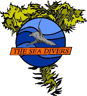 Sea Divers